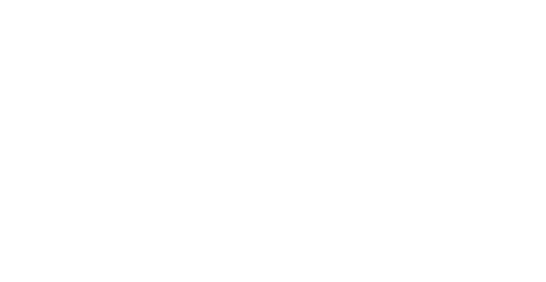 Logo Neue Presse