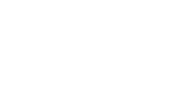 Logo Plaza Hotel Group
